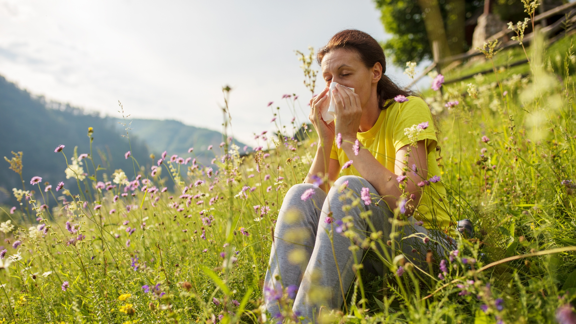 Asthma Pollen Saisonale Allergien