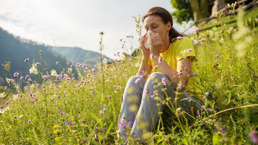 Asthma Pollen Saisonale Allergien
